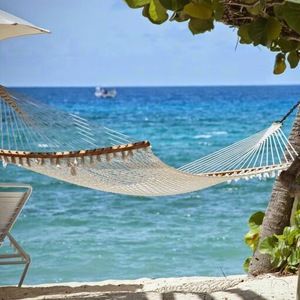 Meet your Posher, Max